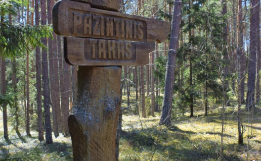 19_Labanoro girios pažintinis takas (1).jpg